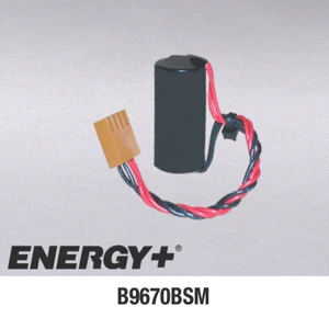 B9670BSM